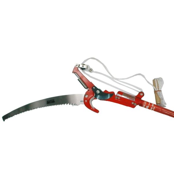 Bahco tree best sale saw